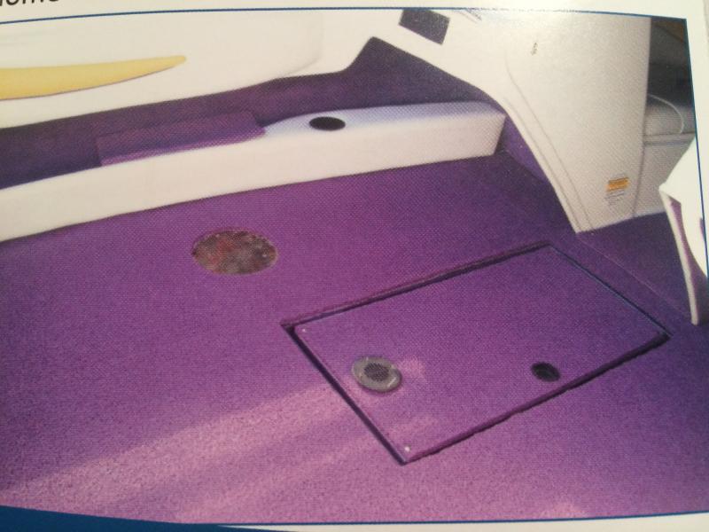 IMG_1402.349163253_std